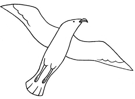 海鸥简笔画