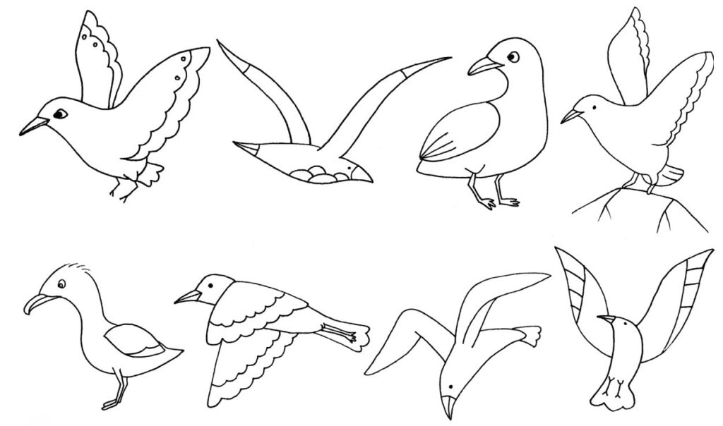 海鸥简笔画