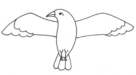 信天翁简笔画