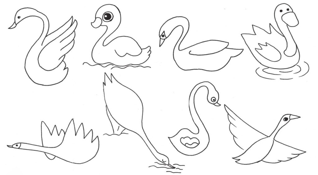 天鹅简笔画