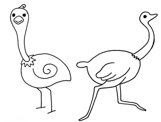 鸵鸟简笔画
