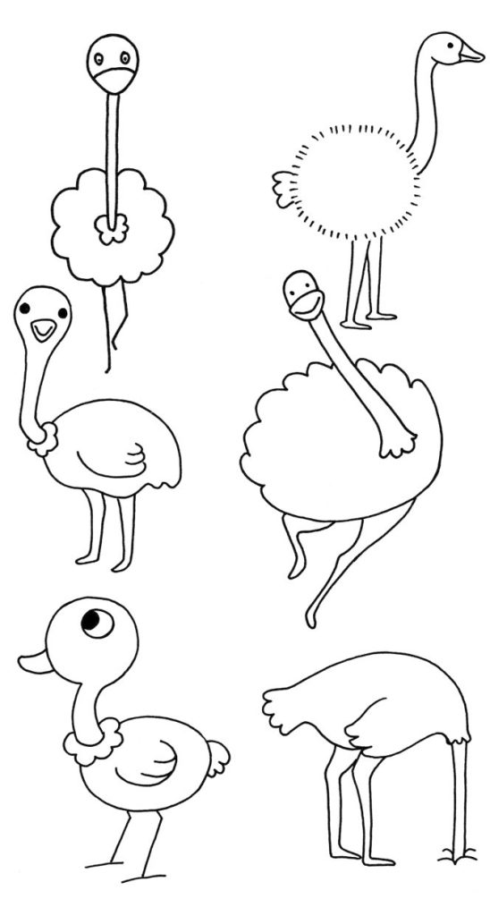 鸵鸟简笔画